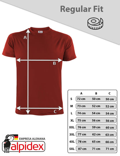 ALPIDEX T-Shirt Camisetas Hombre Pack de 5 Cuello Redondo 100% Algodón Unicolor Corta Shirt Men Camisa de Manga Casual S M L XL XXL 3XL 4XL 5XL